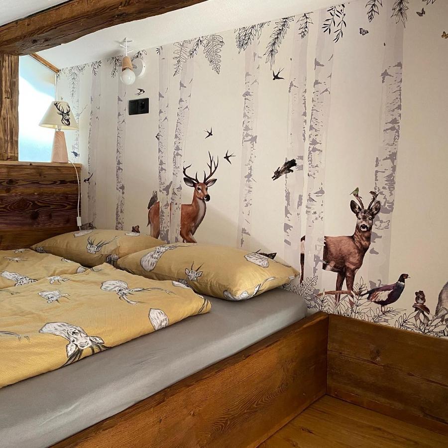 Apartament Grieshof Am Puehel Santa Maddalena in Casies Zewnętrze zdjęcie